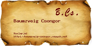 Baumzveig Csongor névjegykártya